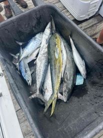 great fishing trip 