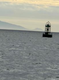 Caltian Ben Ly for the win