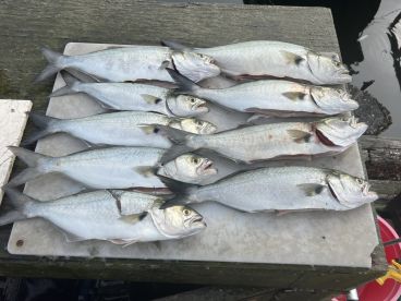 Great trip with a great Captain.