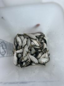 Quality Fishing Trip!