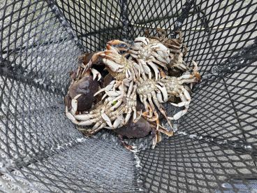 September fishing trip
