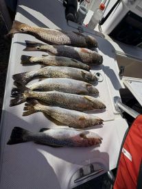 Spontaneous fishing trip