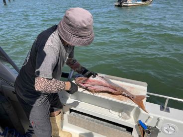 Fantastic Experience!