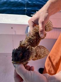 Fun, educational trip