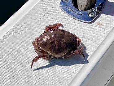 Fun, educational trip