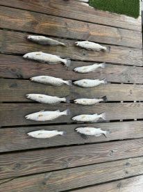 Great capt, great day of fishing