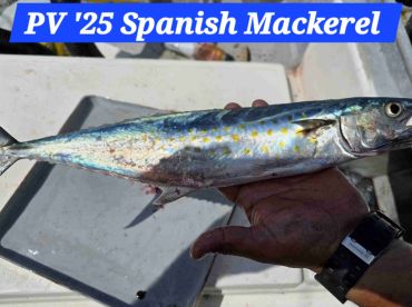 September fishing trip