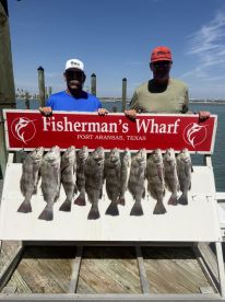 Fishing with Penn