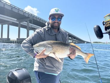 Big fish!  Bigger Fun!