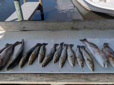 A true Captain who's crew comes first!