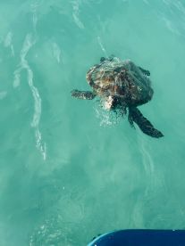 Good days are great days!