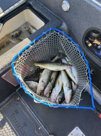 Fish On