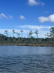 Great day on the water!