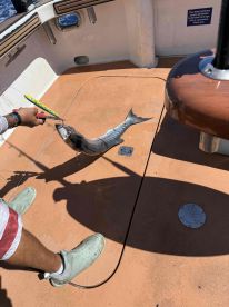 The bite was slow, but we had a great time!