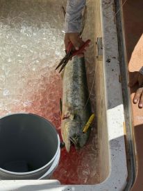 The bite was slow, but we had a great time!