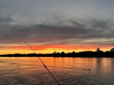 Weirdest catch of the year