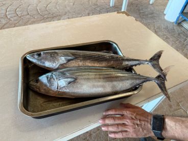 Overall great experience