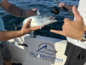 Overall great experience