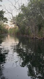 The Best Peacock Bass Fishing