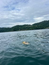 Wonderful day in the water