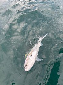 Wonderful day in the water