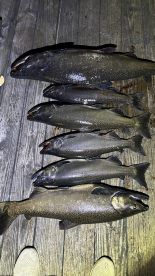 Black Wolf is the best