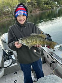 Incredible Experience