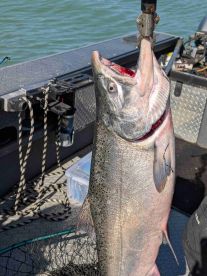 Good Day; Nice Fish