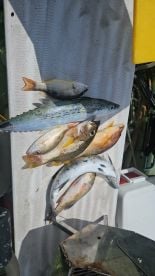 Great local fishing guid 