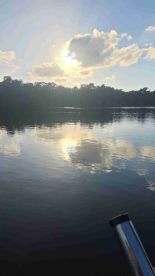 Tarpon Frenzy