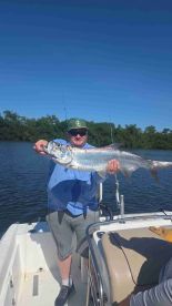 Tarpon Frenzy