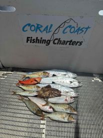 Caught lots of fish