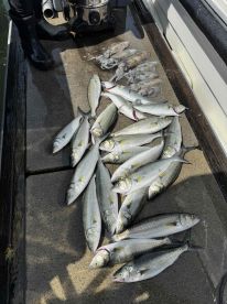 GREAT TIME AS BEGINNERS 