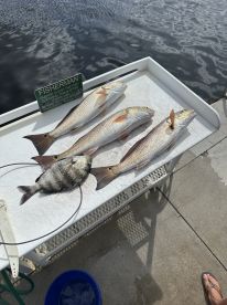 Skillful and professional