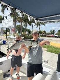 Skillful and professional