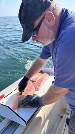 Mission accomplished!