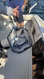 Mission accomplished!