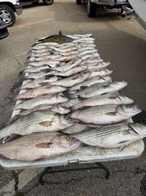 Great Fishing Trip