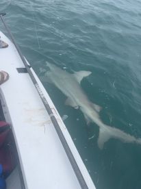 Best charter in the Keys