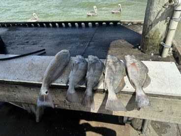 Great day on the bay!