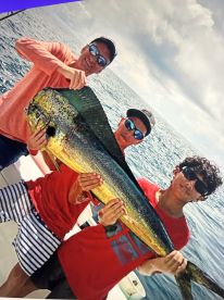 Busy Day catching fish