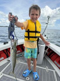 6yr old, No Problem