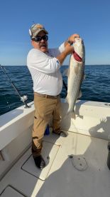 Terrific experience with Captain Brian and First Mate Logan 