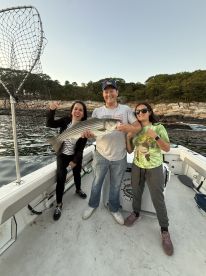 Amazing experience for my family