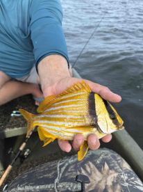 great fishing & others