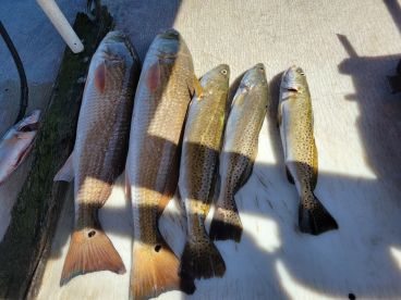 Second Trip with Capt. Steven 