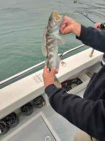 The best day fishing ever!