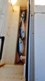 Мы рыбачили с другим капитаном