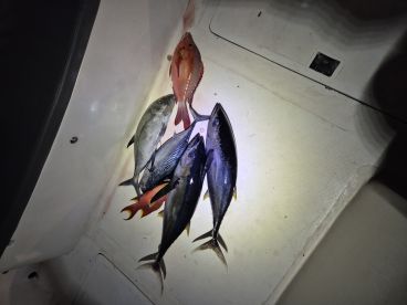 Great days fishing out on the water