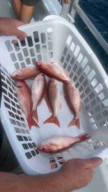 pretty rough for this kind of fishing